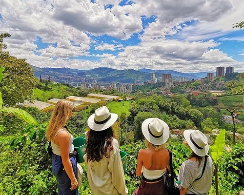 Coffee Tour - Plantación de café